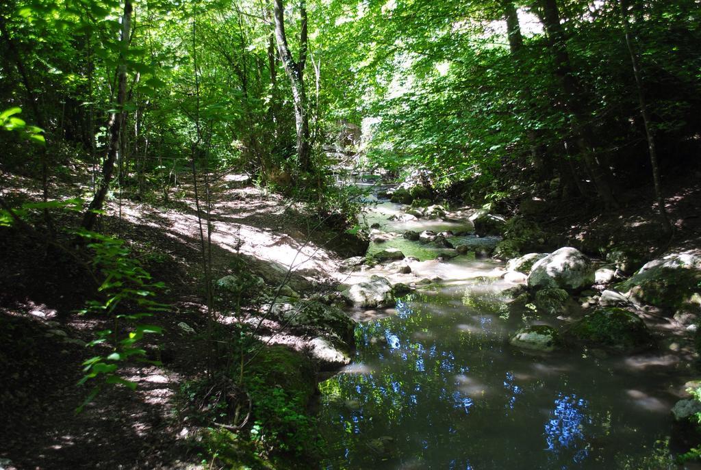 Отель Domaine D'Angouire Мустье-Сент-Мари Экстерьер фото