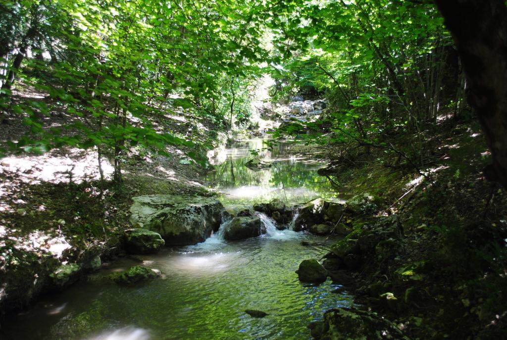 Отель Domaine D'Angouire Мустье-Сент-Мари Экстерьер фото